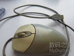 數字產品技術交流網站 推動創(chuàng)新與協(xié)作的橋梁